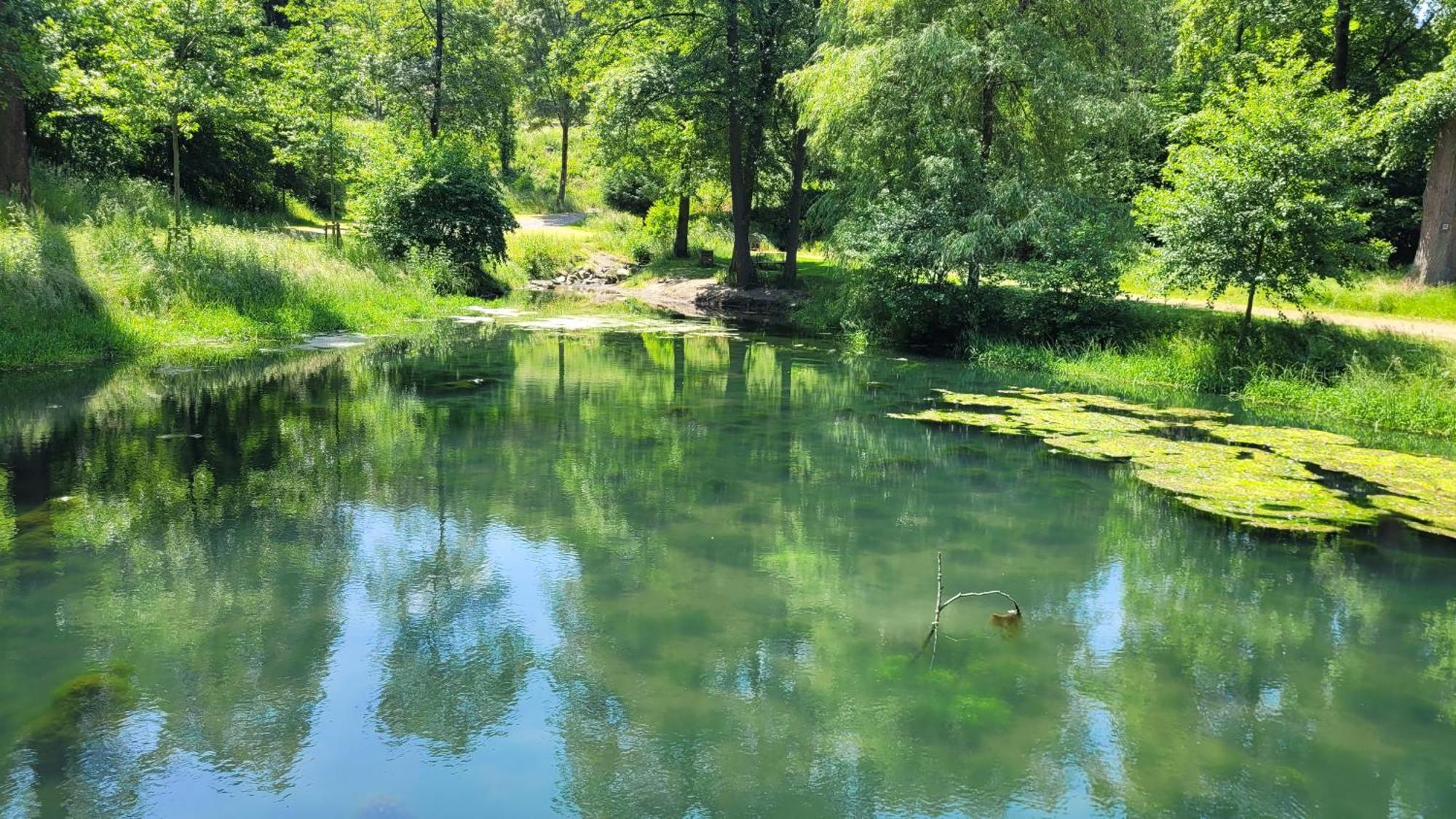 Urlaub Am Rhein, Ferienwohnung Mit Garten Boppard Esterno foto