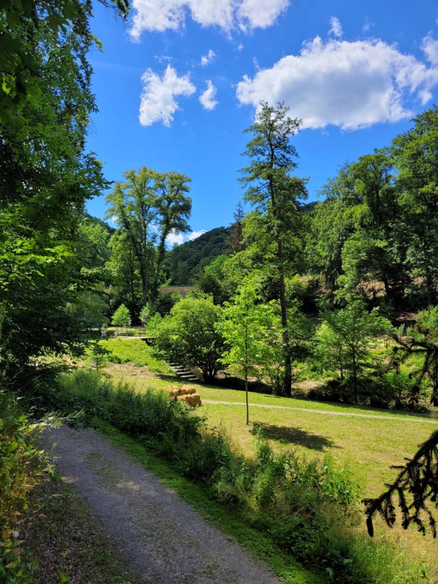 Urlaub Am Rhein, Ferienwohnung Mit Garten Boppard Esterno foto