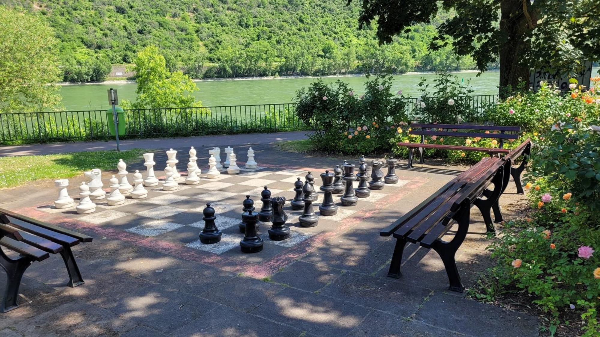 Urlaub Am Rhein, Ferienwohnung Mit Garten Boppard Esterno foto